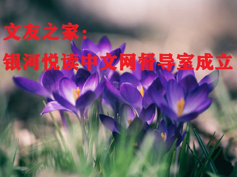 19df-fyscsmv3838902.jpg