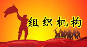 组织机构.jpg