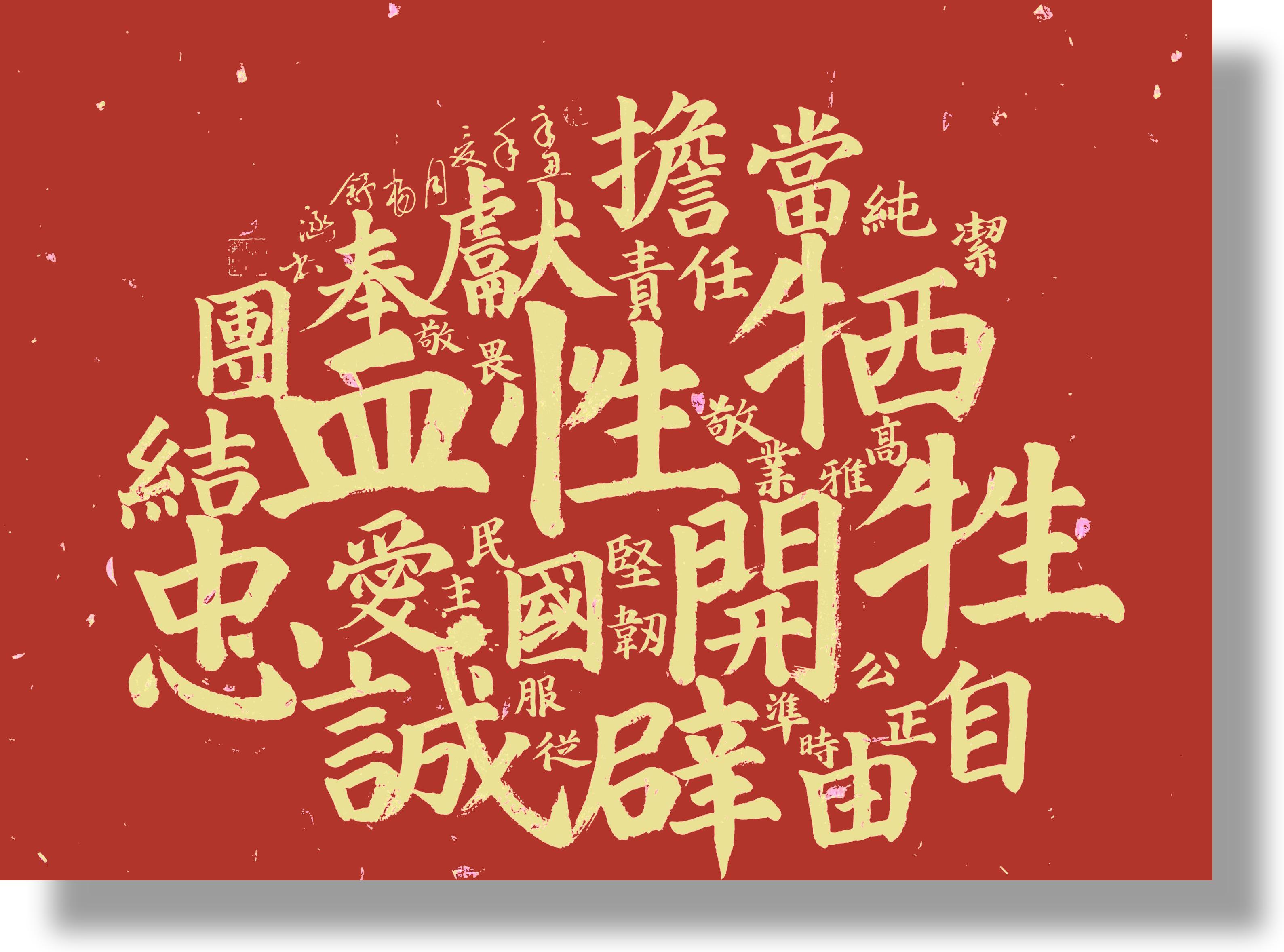 杨舒涵.jpg