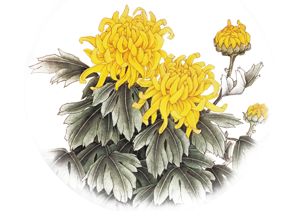 51miz-E791098-88E5B9AB.png