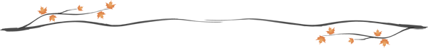 51miz-E265701-7CB8860A.png