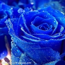 1659873930509969.jpg t0150cafe787ee9559f.webp.jpg