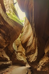 origin3743a7867f9104892a717a495be2dbb9.jpg