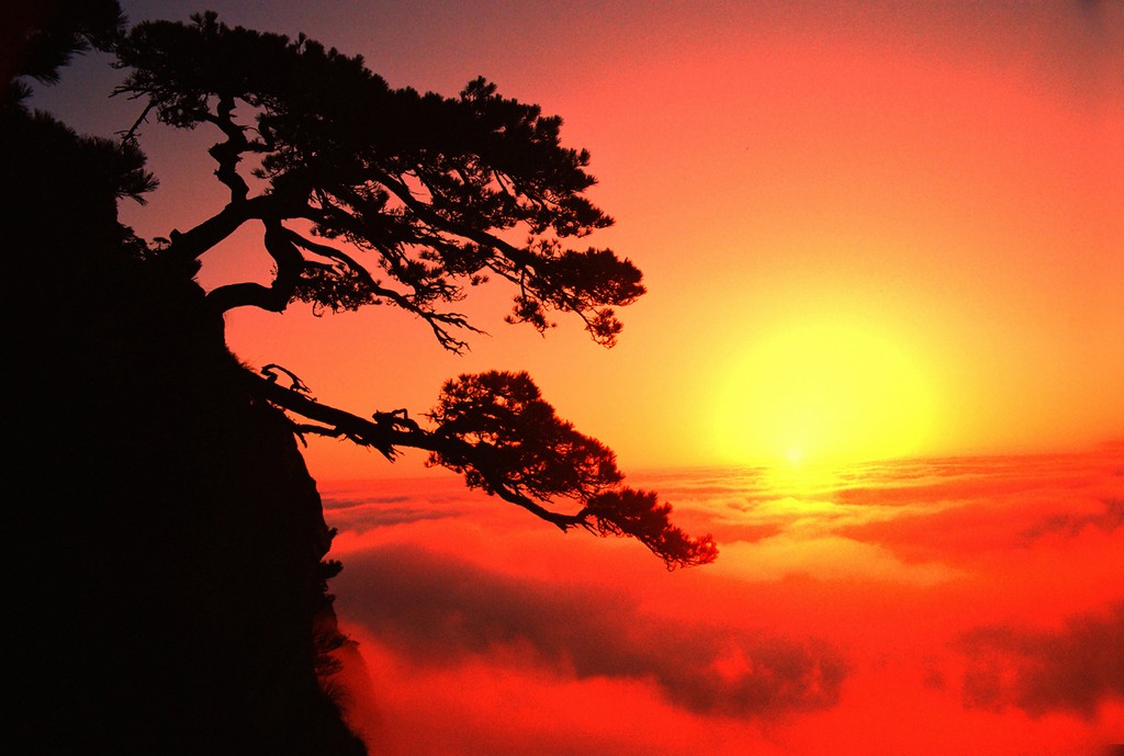 《五老峰云海日出》罗匡龙 摄.jpg