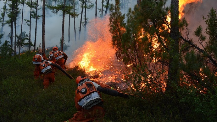 大兴安岭扑火记