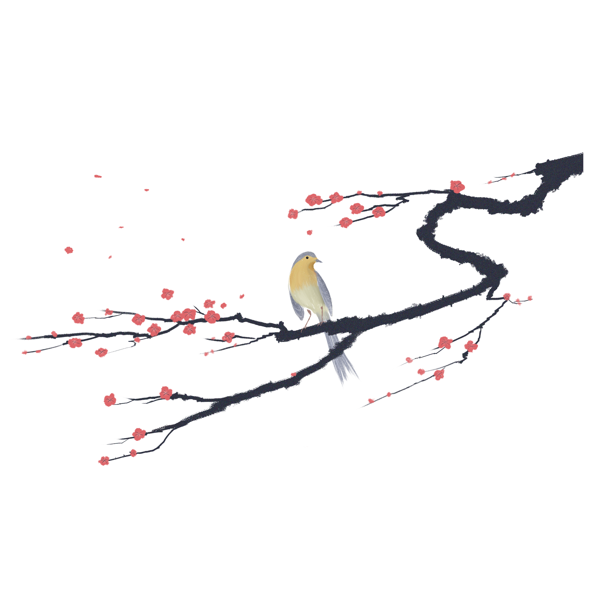 古风梅花枝和小鸟插画设计可商用元素.png