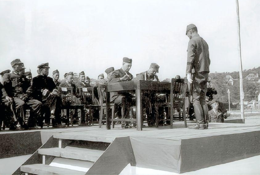 202504211745231066873975873975.jpg 202504211745231066873975873975.jpg