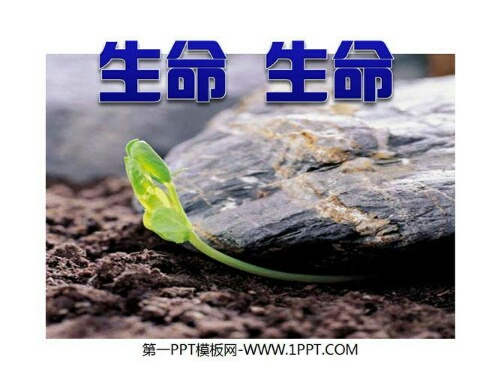 生命 生命-银河悦读