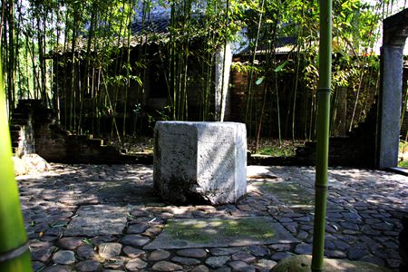 照片 534_副本.jpg