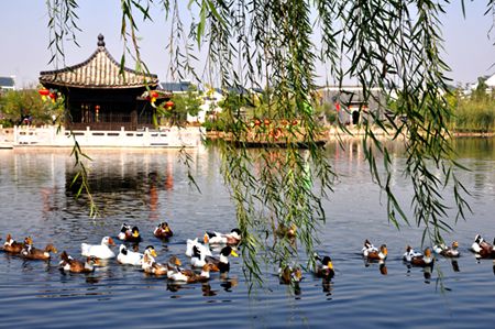772d68b7ga0c680c043f3&690_副本.jpg