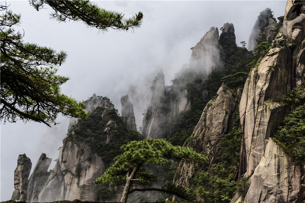 1493547127728183.jpg 云雾的家乡,松石的画廊.jpg