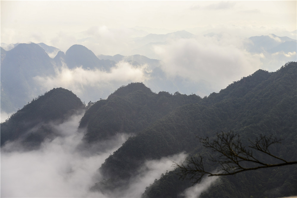 1493547419108835.jpg 波涛汹涌.jpg