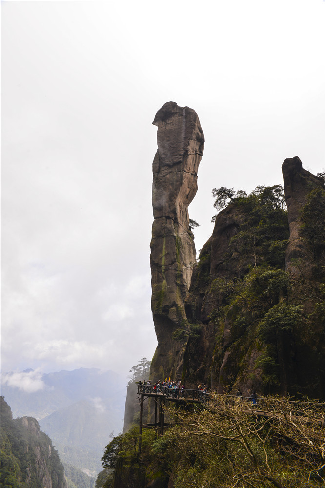 1493547603832535.jpg 巨蟒出山.jpg