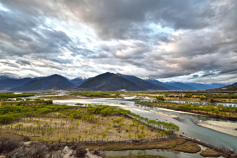 1493661850336981.jpg 1493550283111159.jpg