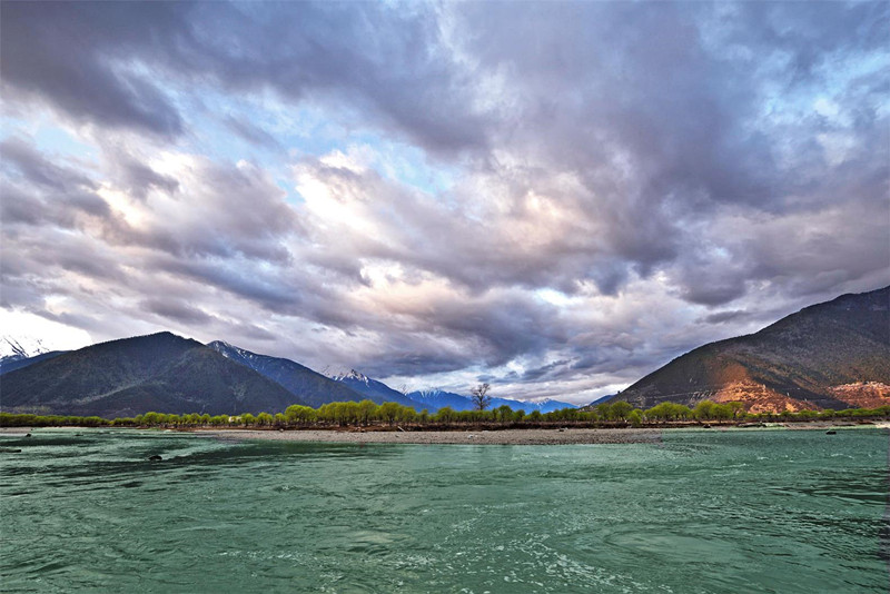 1493661867109851.jpg 1493550283115088.jpg