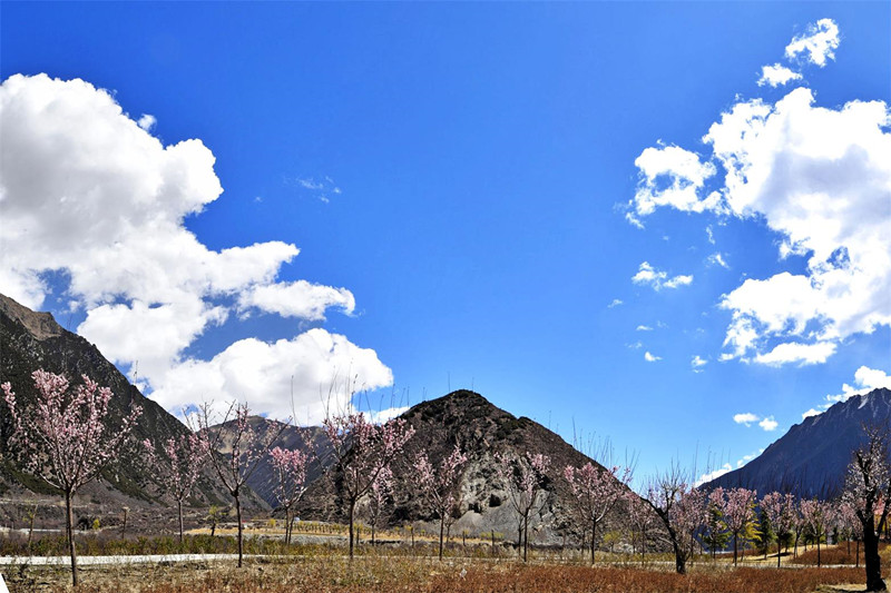 1493661884605715.jpg 1493550283922730.jpg