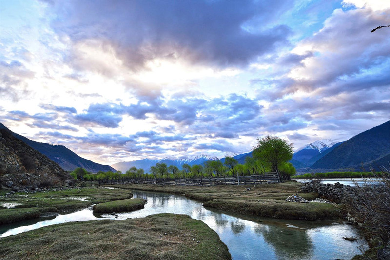 1493661926582047.jpg 1493550284677191.jpg