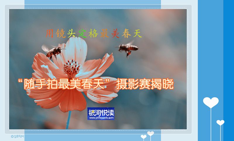 1494811871133699 (1).jpg