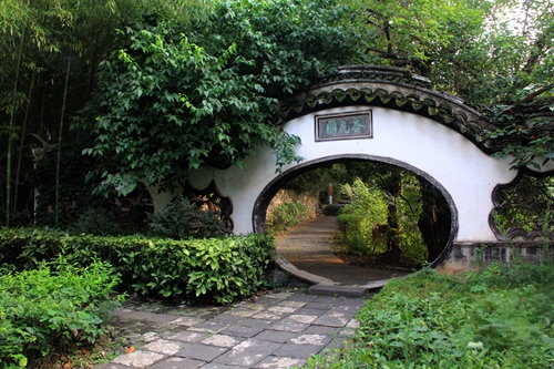 照片 239_副本.jpg