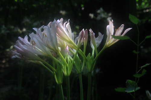 照片 372_副本.jpg