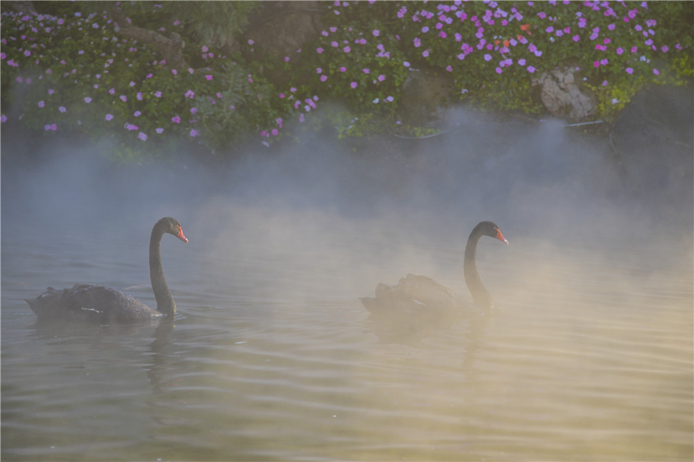 1505814343167824.jpg 26.DSC_2874-1.jpg