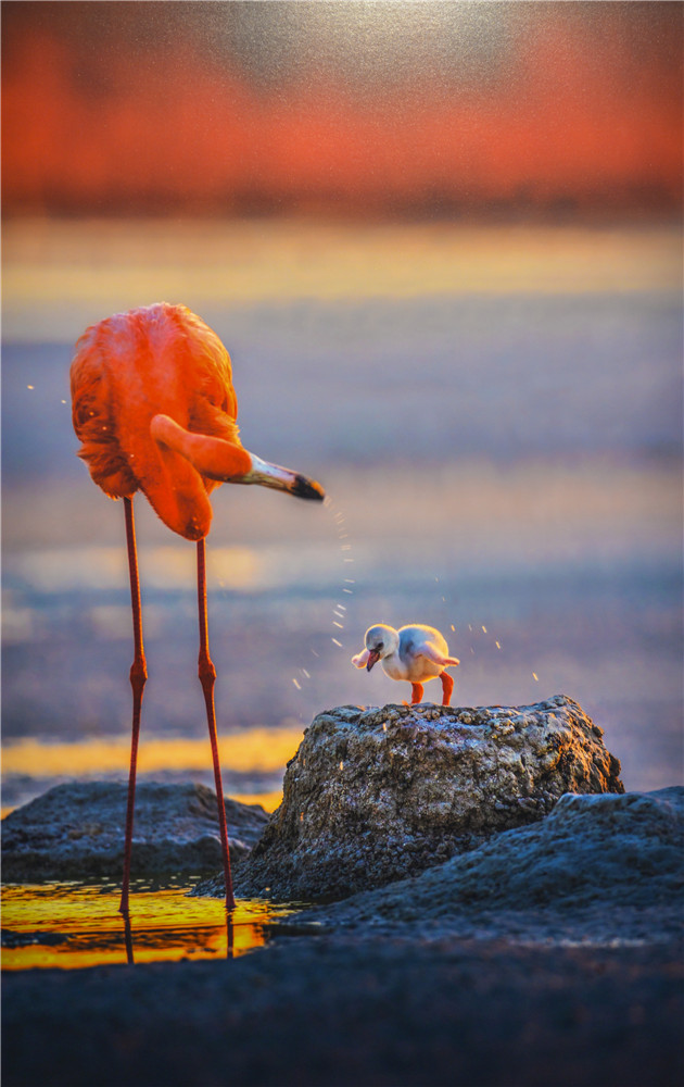 1505814661389093.jpg 8.DSC_3146-1.jpg