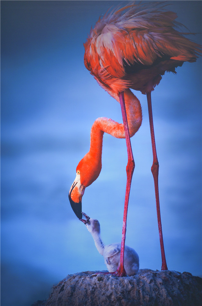 1505814761115708.jpg 9.DSC_3123-1.jpg