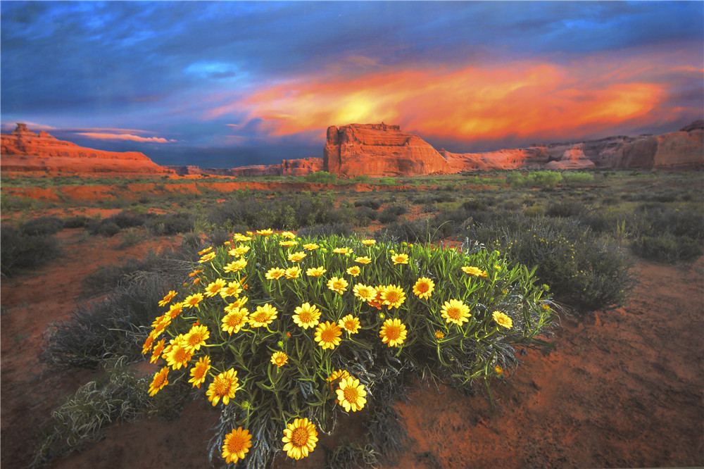 1505815338773754.jpg 15.DSC_3092-1.jpg