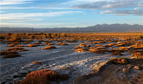 1510066457958748.jpg 阿尔金山脚下.jpg