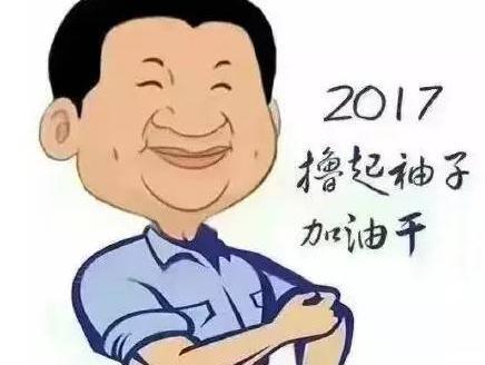 1510125125965977.jpg 撸起袖子加油干.jpg