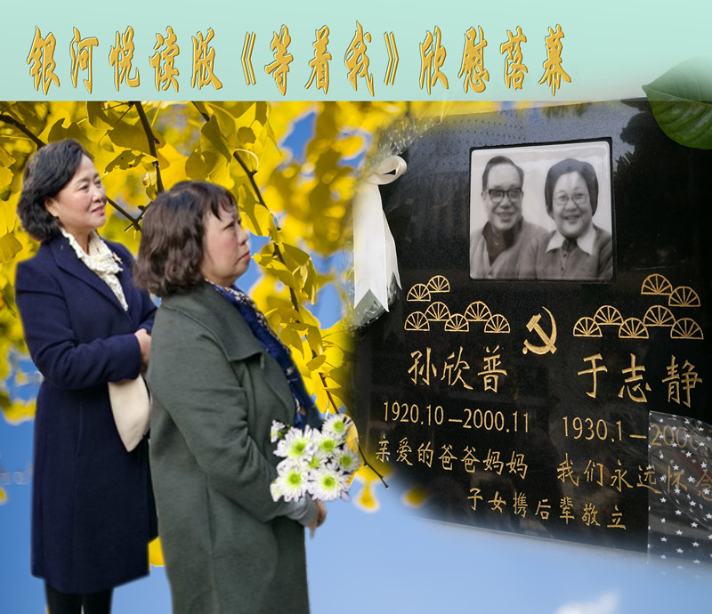 1510474832334313.jpg 木然菊花合成2_副本.jpg