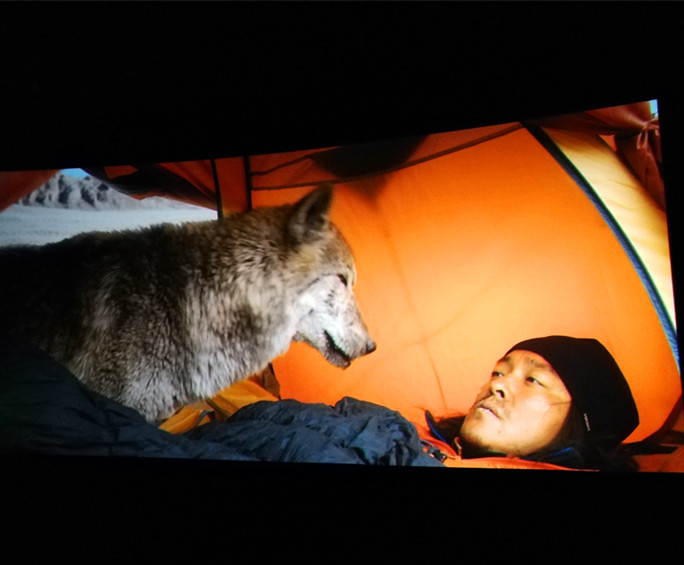 1510518254124787.jpg 5.jpg