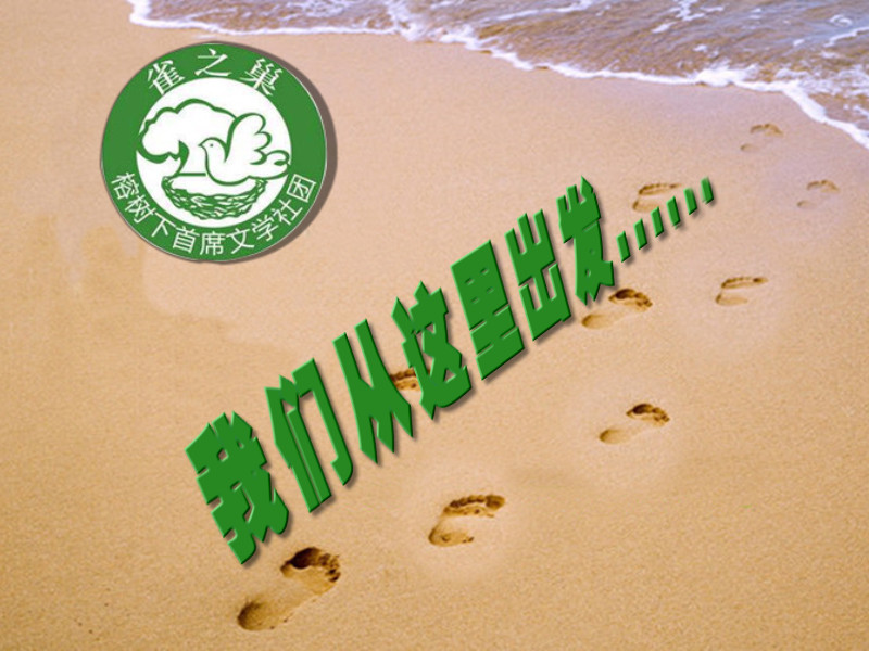 1511024004101580 重做3_副本.jpg