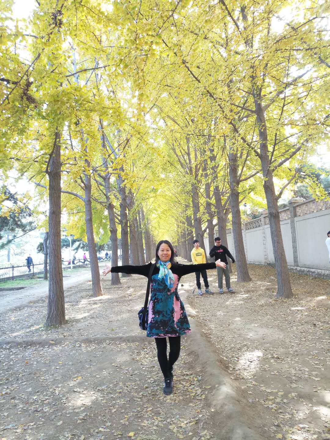 长袖伊人.jpg