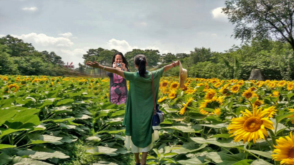 1515819926728528.png 20150723122535_97736.png