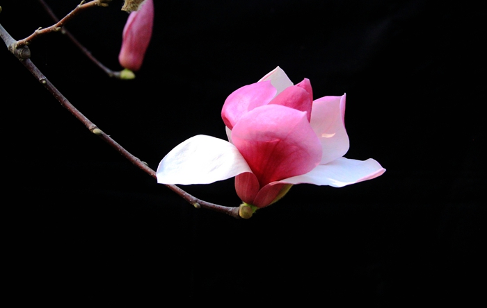 照片 425_副本.jpg