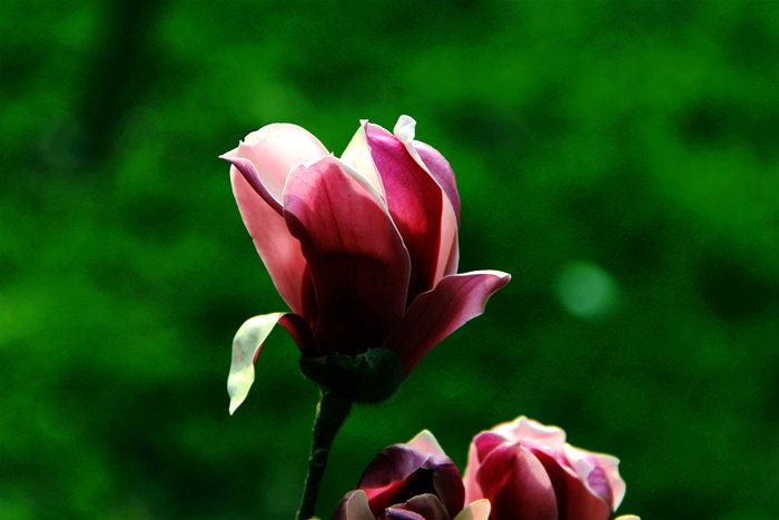 照片 167_meitu_5_副本.jpg