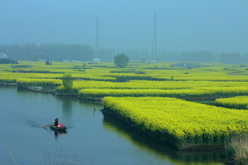 1522416851117042.jpg y1_副本.jpg