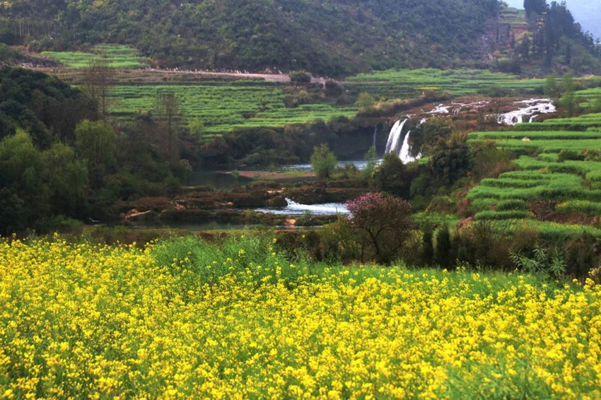 1522416893622239.jpg y11_副本.jpg