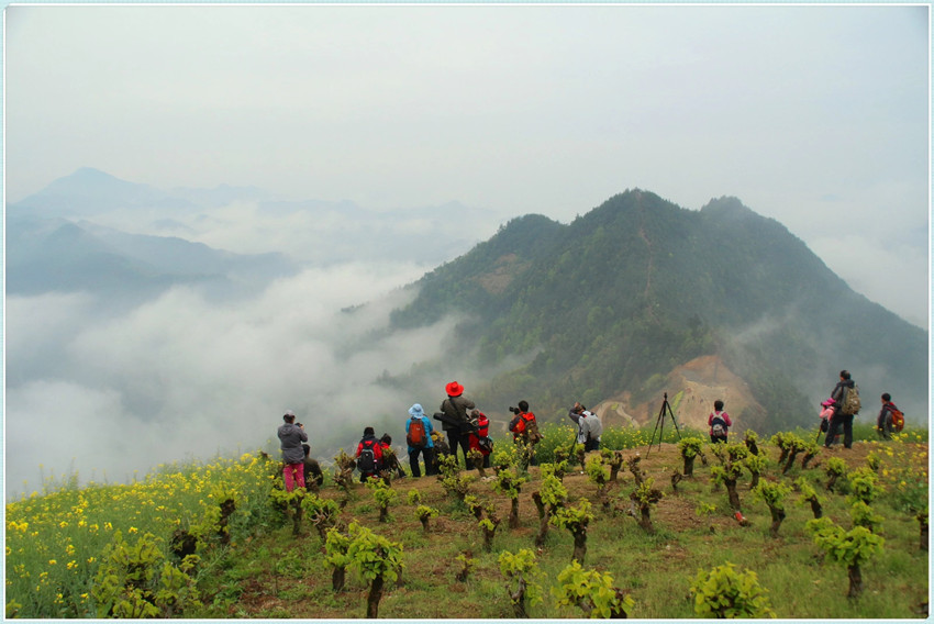 1522416912822380.jpg y3_副本.jpg