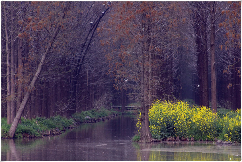 1522416939679256.jpg y4_副本.jpg