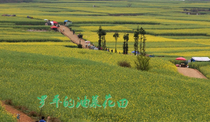 1522416968769838.jpg y12_副本.jpg