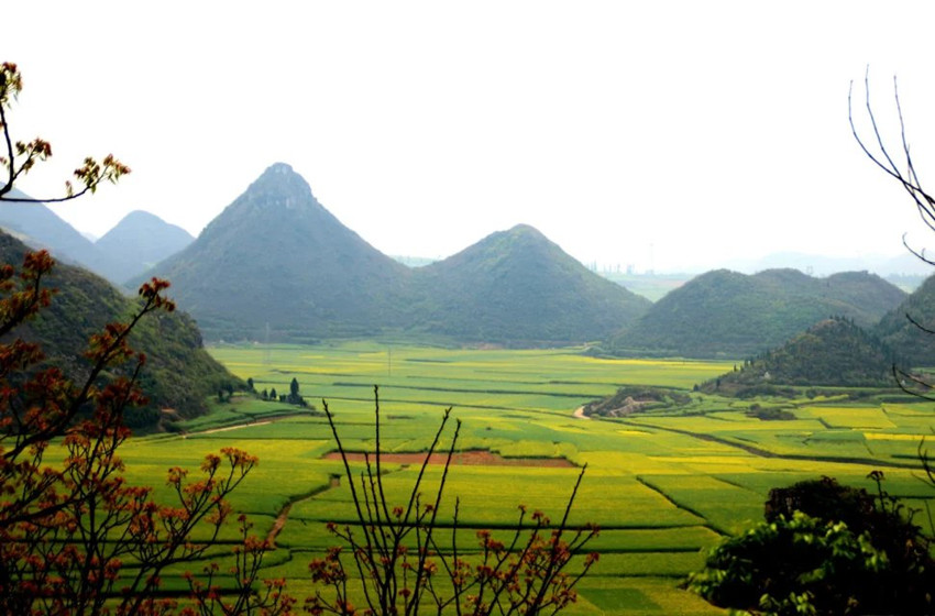 1522417000133656.jpg y14_副本.jpg