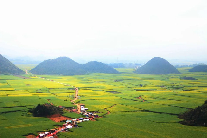 1522417027323555.jpg y17_副本.jpg