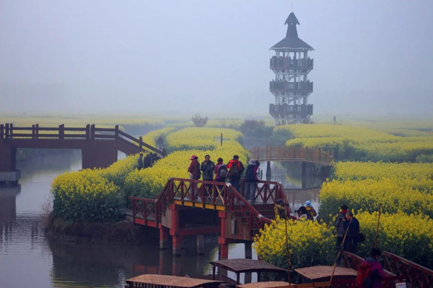 1522417070392880.jpg y21_副本.jpg