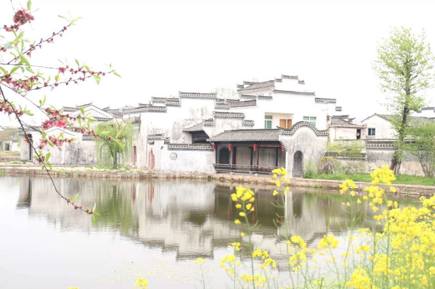 1522417143750689.jpg y5_副本.jpg