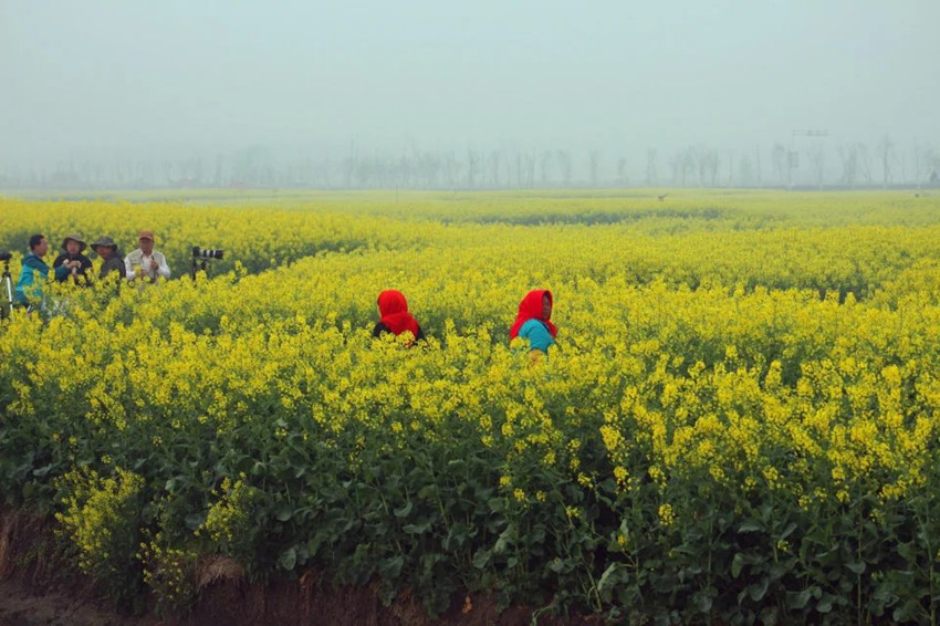 1522417316697502.jpg y28_副本.jpg