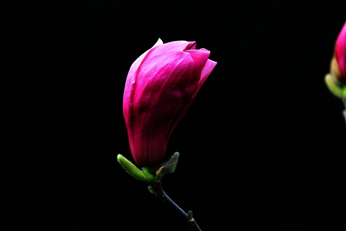 照片 154_meitu_2_副本.jpg