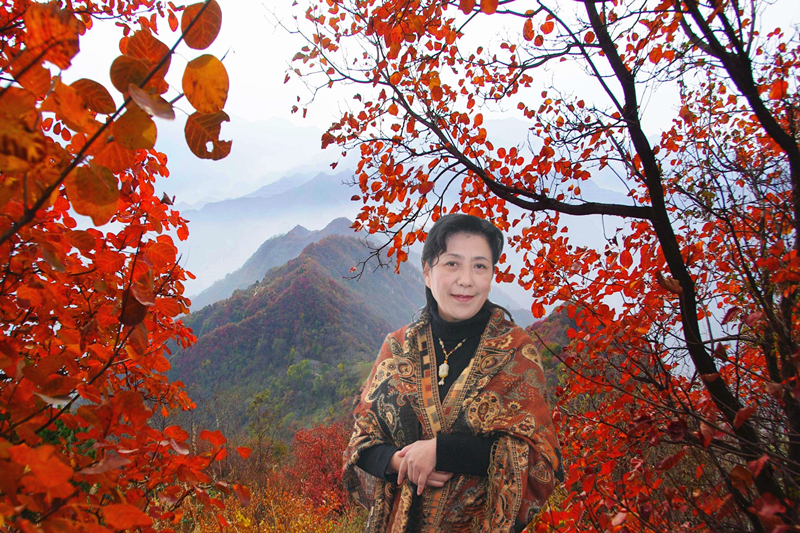 1523062542826769.png 红叶孤独_副本.png