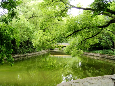 webwxgetmsgimg (1)_副本.jpg